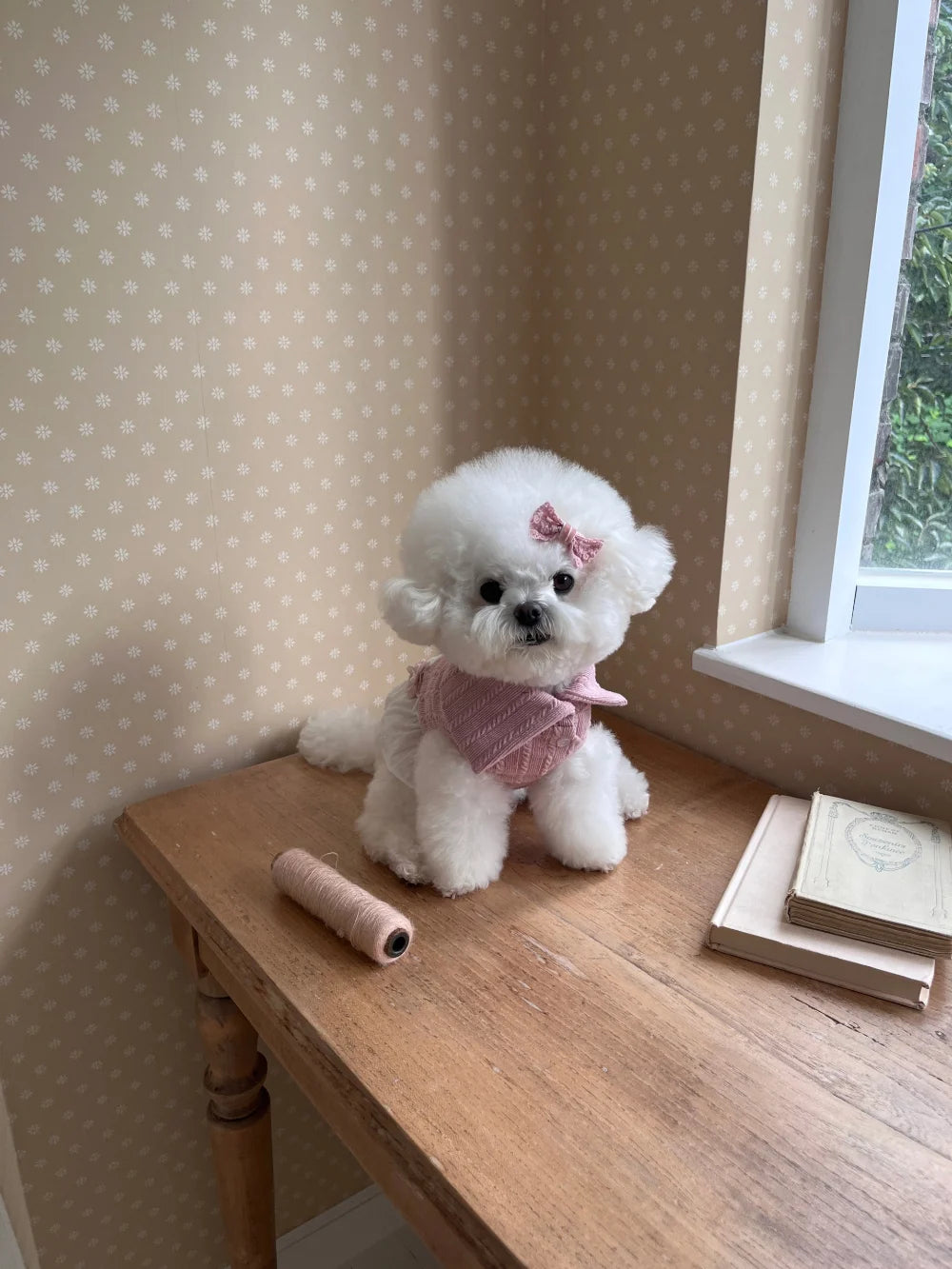 Ellie Knit Turtleneck (Pink)