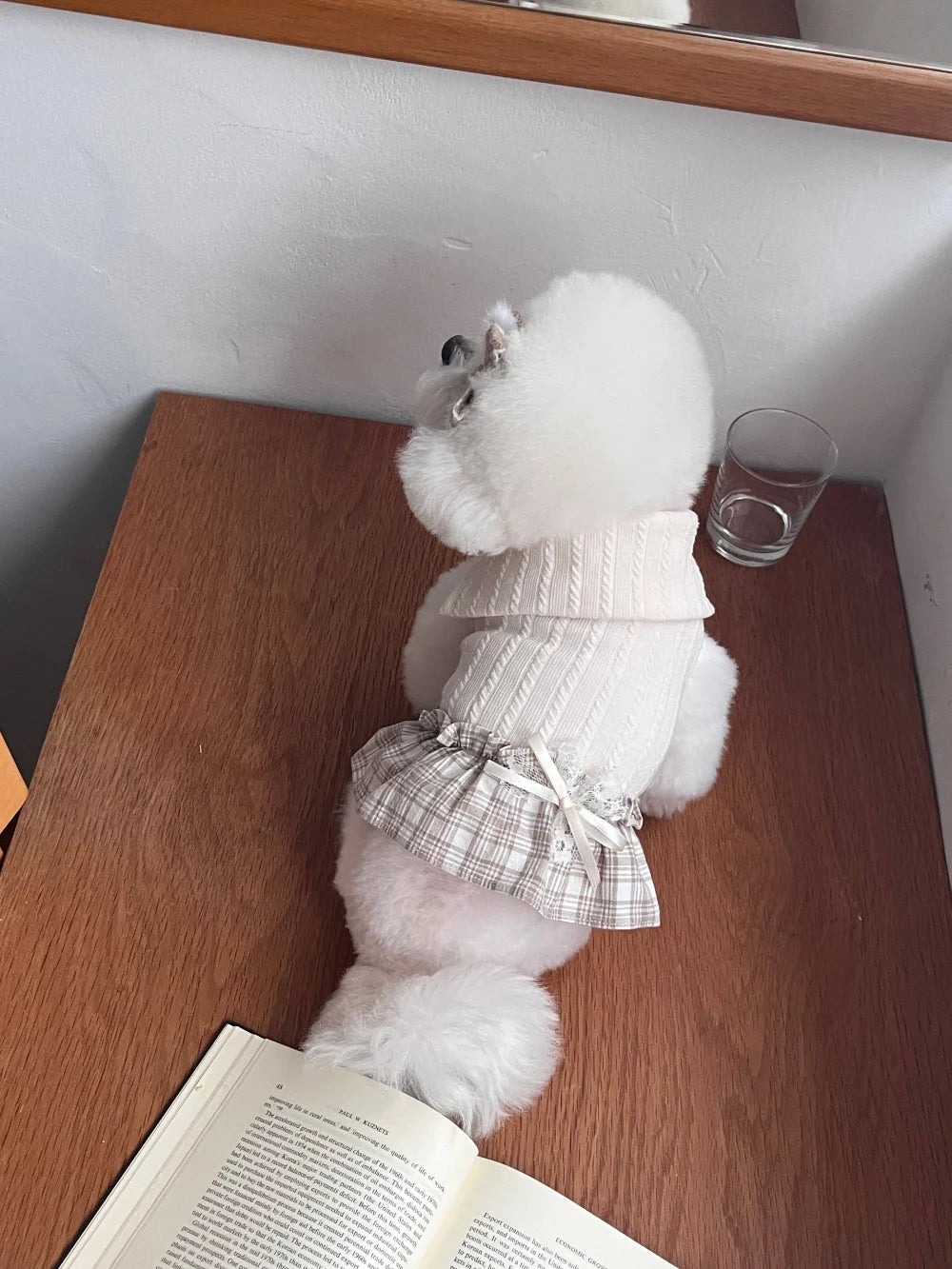 Ellie Knit Turtleneck (Ivory)