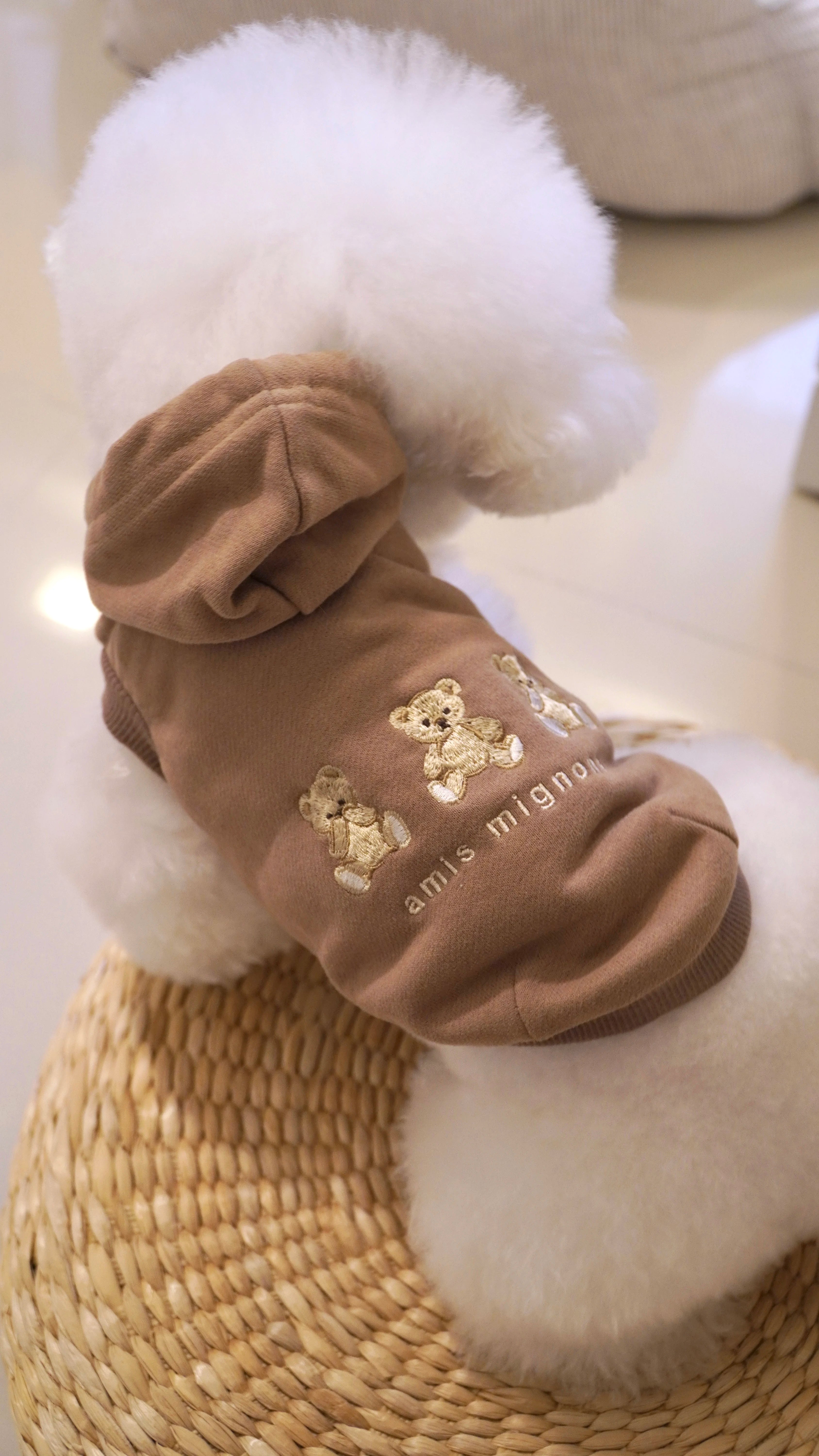 Bear Embroidered Sleeveless Hoodie