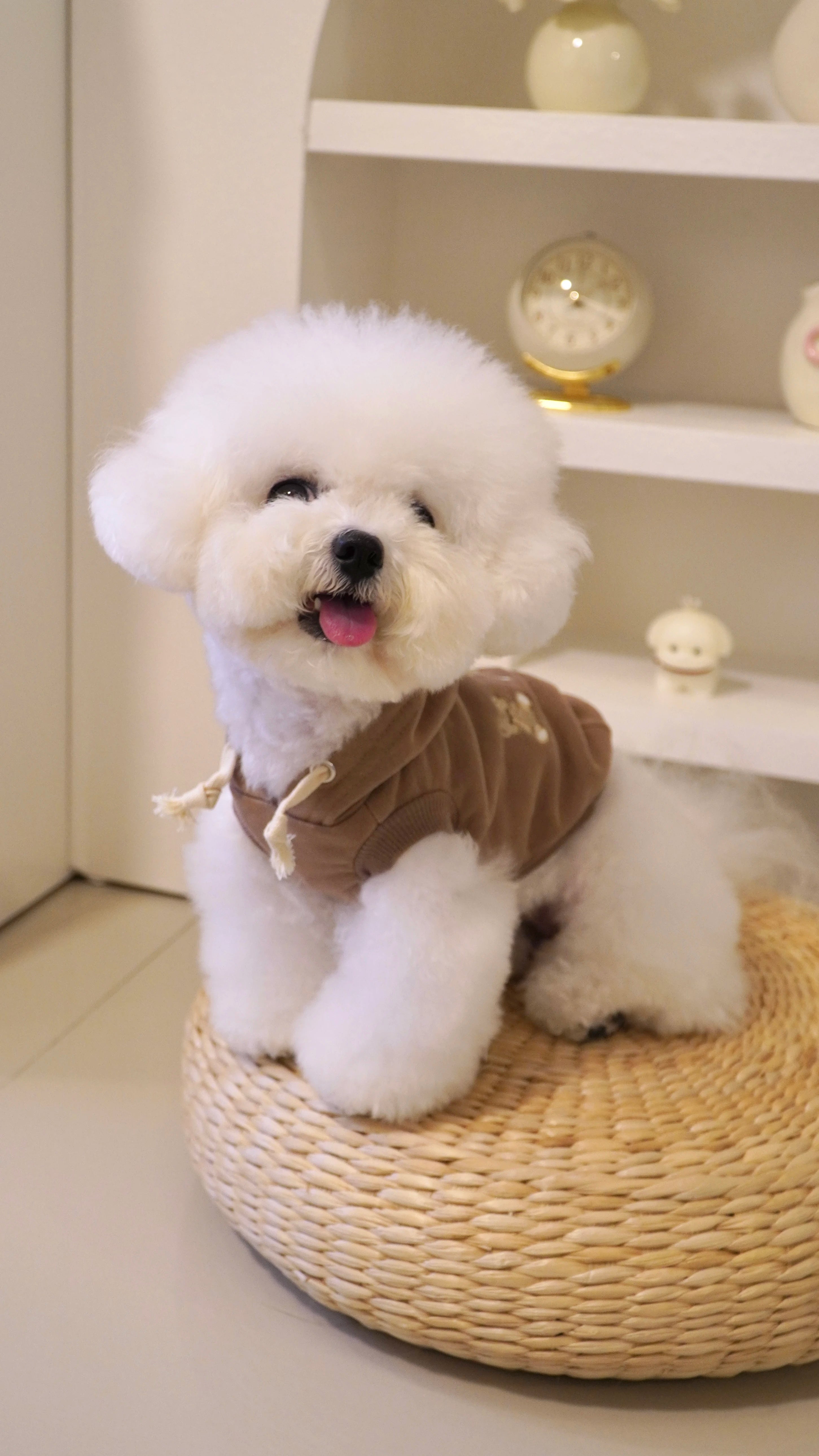 Bear Embroidered Sleeveless Hoodie