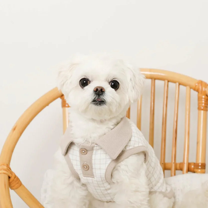 Cool Windowpane Check Sleeveless Top