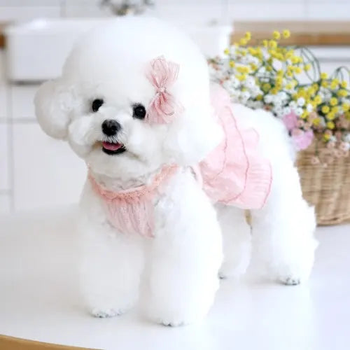 Strawberry Smoothie Ops