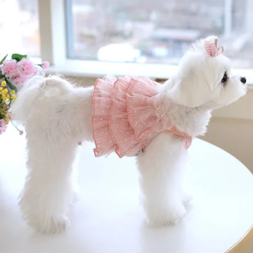 Strawberry Smoothie Ops