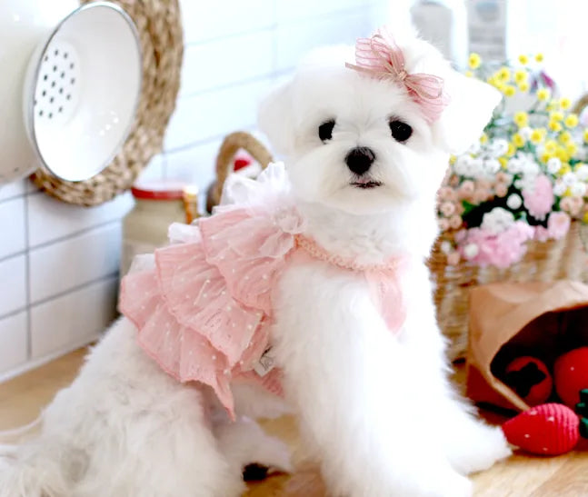 Strawberry Smoothie Ops