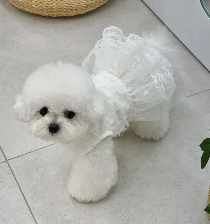 Aube Pearl Dress
