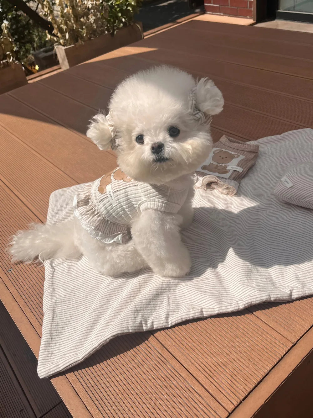 Bobo Bear Sleeveless